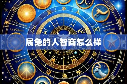 属兔的人智商怎么样