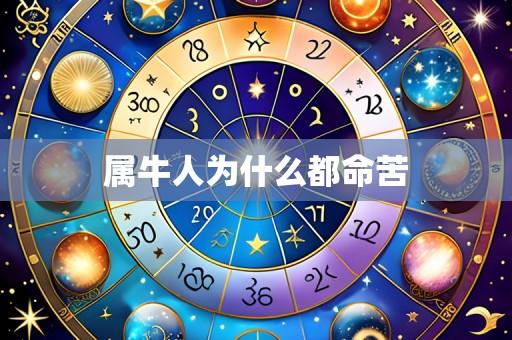 属牛人为什么都命苦