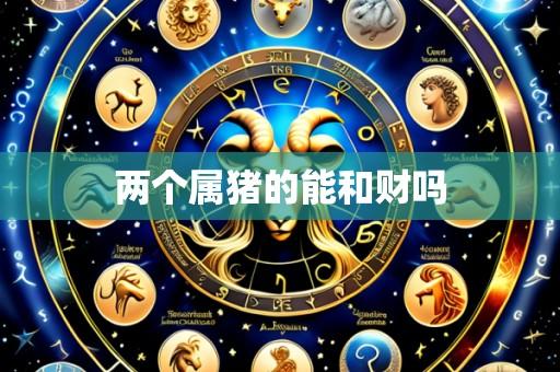 两个属猪的能和财吗