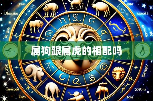 属狗跟属虎的相配吗
