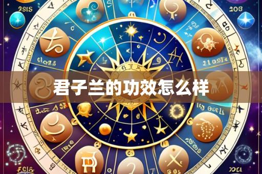 君子兰的功效怎么样