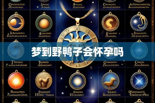 梦到野鸭子会怀孕吗
