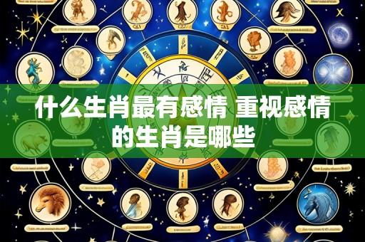 什么生肖最有感情 重视感情的生肖是哪些