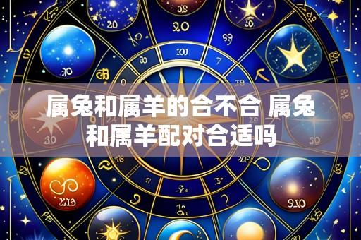 属兔和属羊的合不合 属兔和属羊配对合适吗