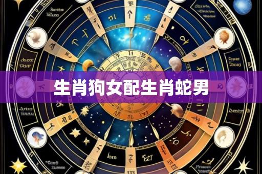 生肖狗女配生肖蛇男