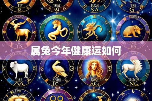 属兔今年健康运如何