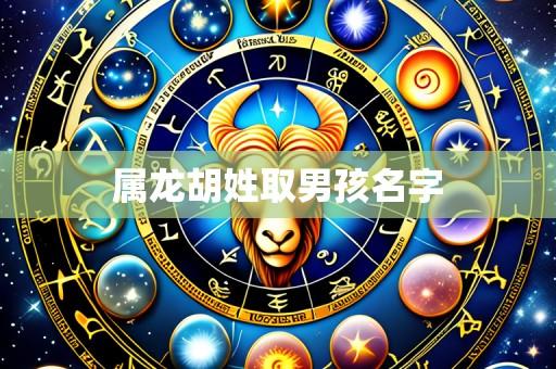 属龙胡姓取男孩名字