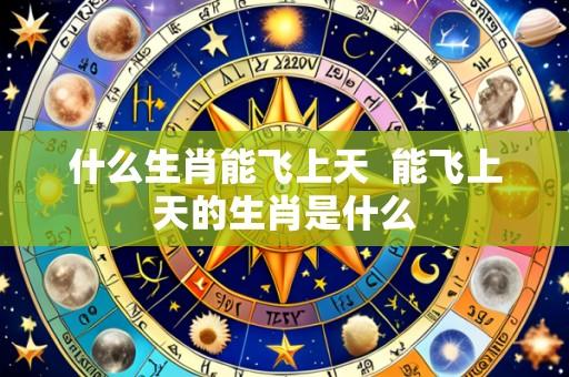 什么生肖能飞上天 能飞上天的生肖是什么