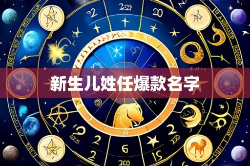 新生儿姓任爆款名字
