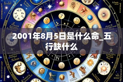 2001年8月5日是什么命_五行缺什么