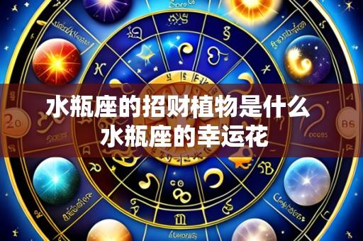 水瓶座的招财植物是什么 水瓶座的幸运花