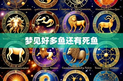 梦见好多鱼还有死鱼