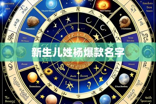 新生儿姓杨爆款名字