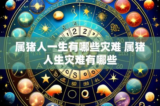 属猪人一生有哪些灾难 属猪人生灾难有哪些
