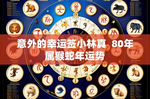 意外的幸运签小林真 80年属猴蛇年运势