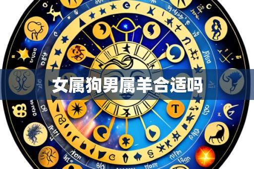 女属狗男属羊合适吗