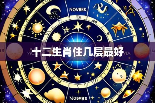 十二生肖住几层最好
