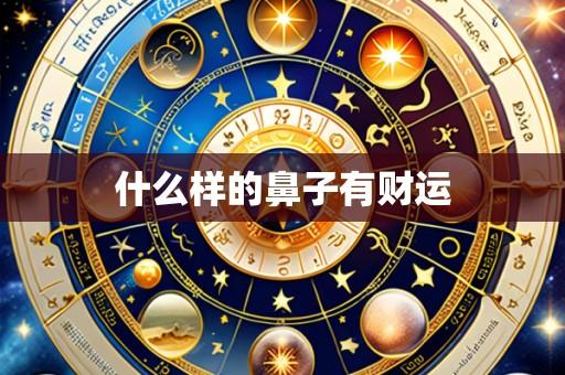什么样的鼻子有财运