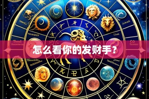怎么看你的发财手？