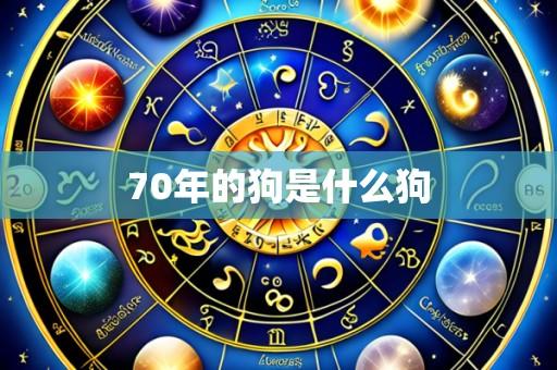 70年的狗是什么狗