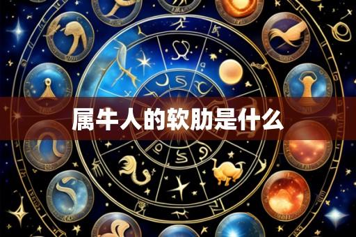 属牛人的软肋是什么