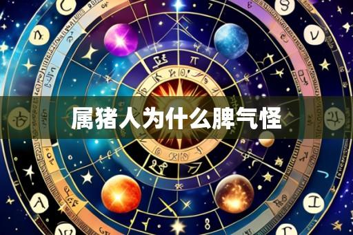 属猪人为什么脾气怪