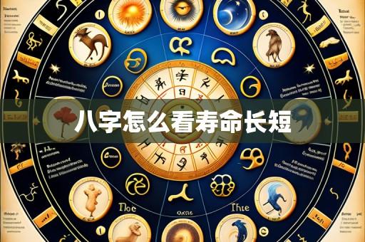 八字怎么看寿命长短