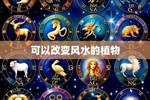 可以改变风水的植物