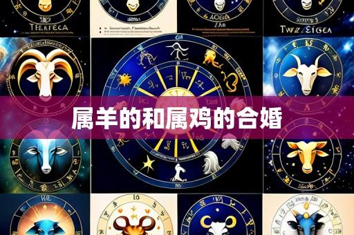 属羊的和属鸡的合婚