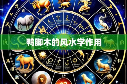 鸭脚木的风水学作用