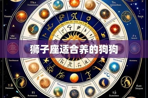 狮子座适合养的狗狗