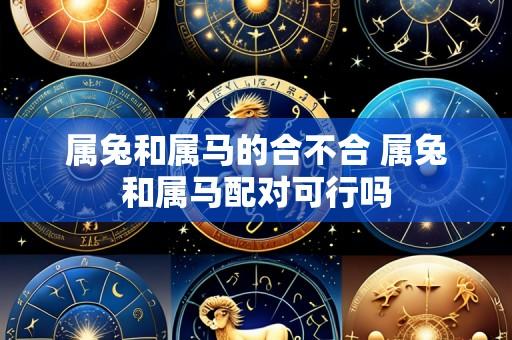 属兔和属马的合不合 属兔和属马配对可行吗