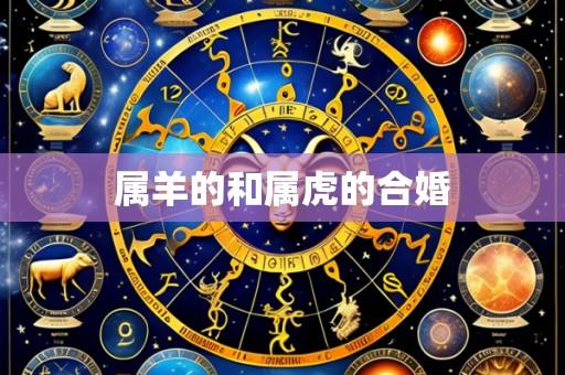 属羊的和属虎的合婚