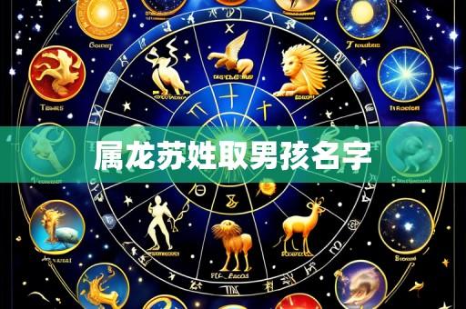 属龙苏姓取男孩名字