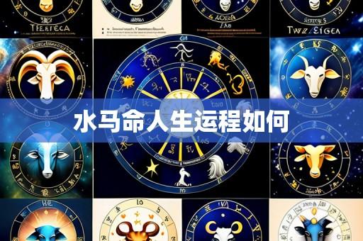 水马命人生运程如何