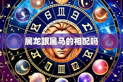 属龙跟属马的相配吗