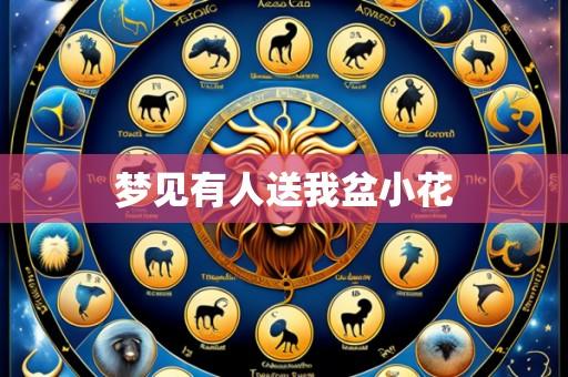 梦见有人送我盆小花