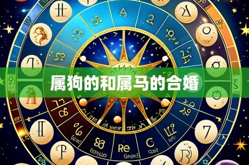 属狗的和属马的合婚