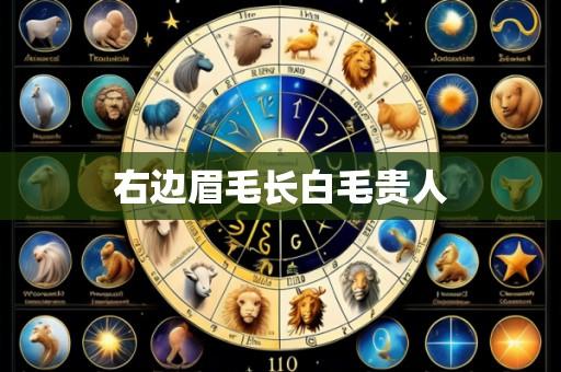 右边眉毛长白毛贵人