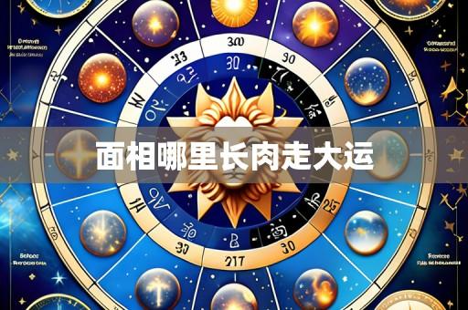 面相哪里长肉走大运