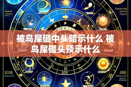 被鸟屎砸中头暗示什么 被鸟屎砸头预示什么
