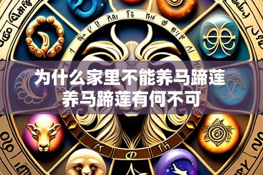 为什么家里不能养马蹄莲 养马蹄莲有何不可