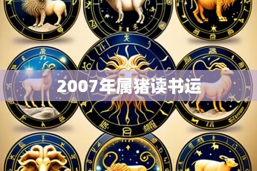 2007年属猪读书运
