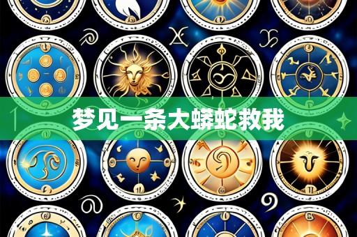 梦见一条大蟒蛇救我