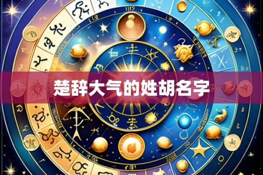 楚辞大气的姓胡名字