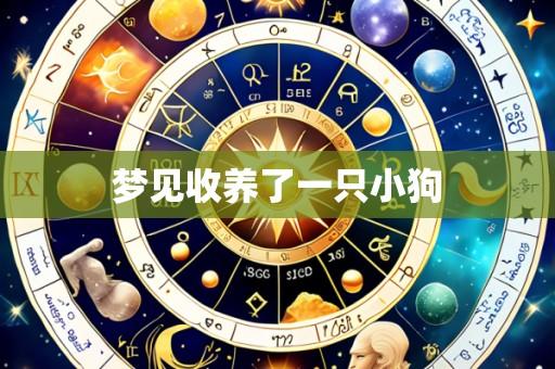 梦见收养了一只小狗