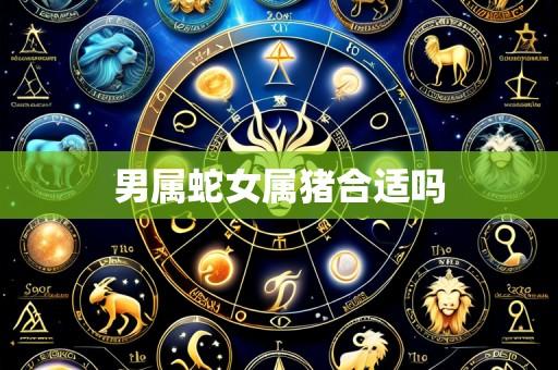 男属蛇女属猪合适吗