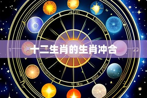 十二生肖的生肖冲合