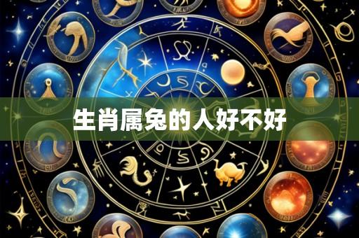 生肖属兔的人好不好