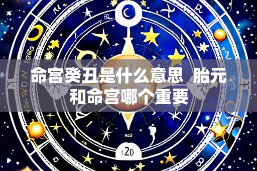 命宫癸丑是什么意思 胎元和命宫哪个重要